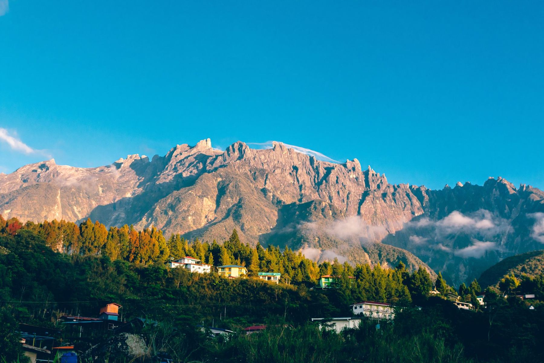 The granite ridge and pinnacles of Mount Kinabalu at first light, above a wooded hillside of houses and conifers