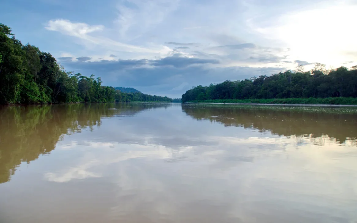 A wide, still stretch of the Kinabatangan River at dusk, forest along both banks and cloud reflected in the brown water