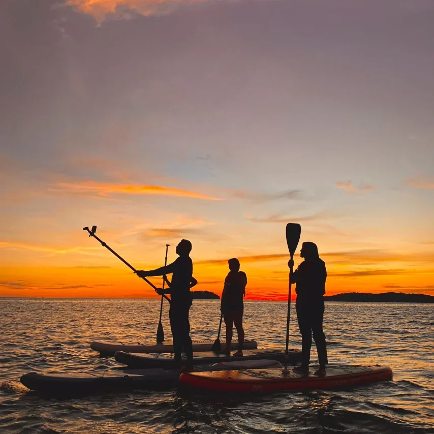 Three stand-up paddleboarders in silhouette on calm water at sunset